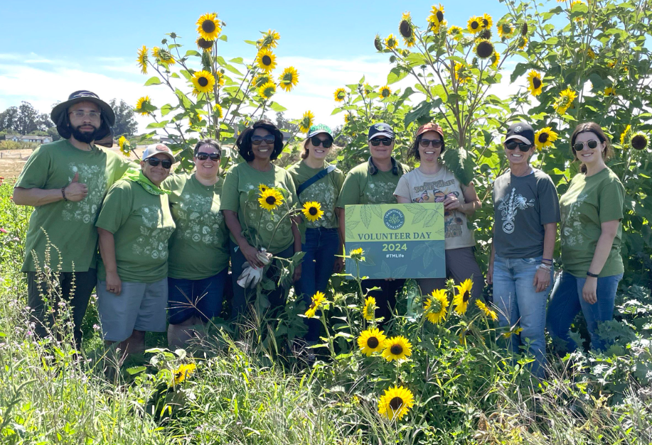 Northern California’s Herbal Legacy: Traditional Medicinals and the Power of Purpose